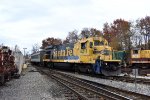 The Pureland Complex excursion train